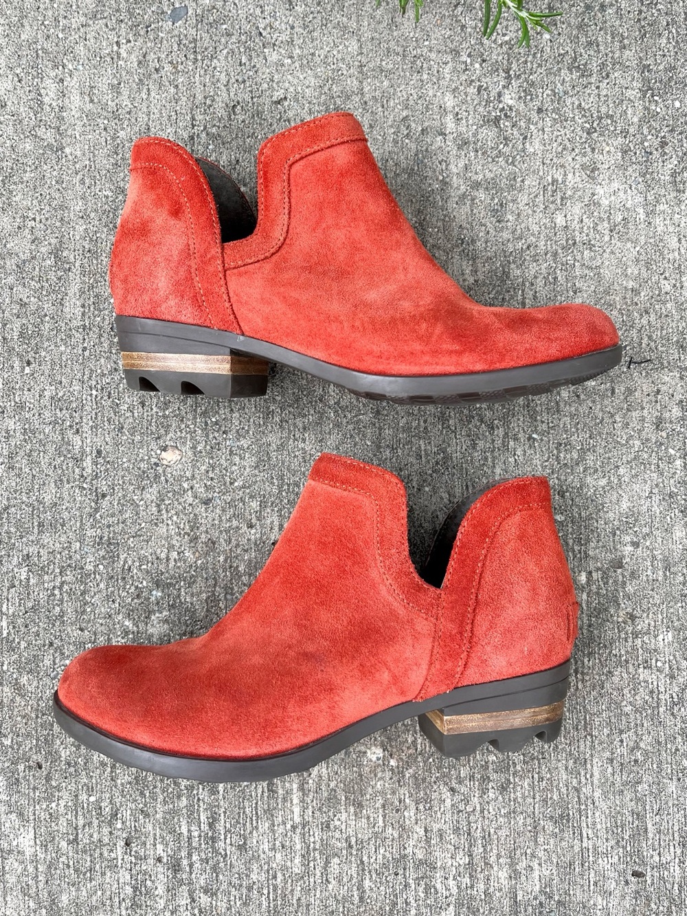 🆕 Listing!  Sorel | 'Lolla' Cut-out Bootie